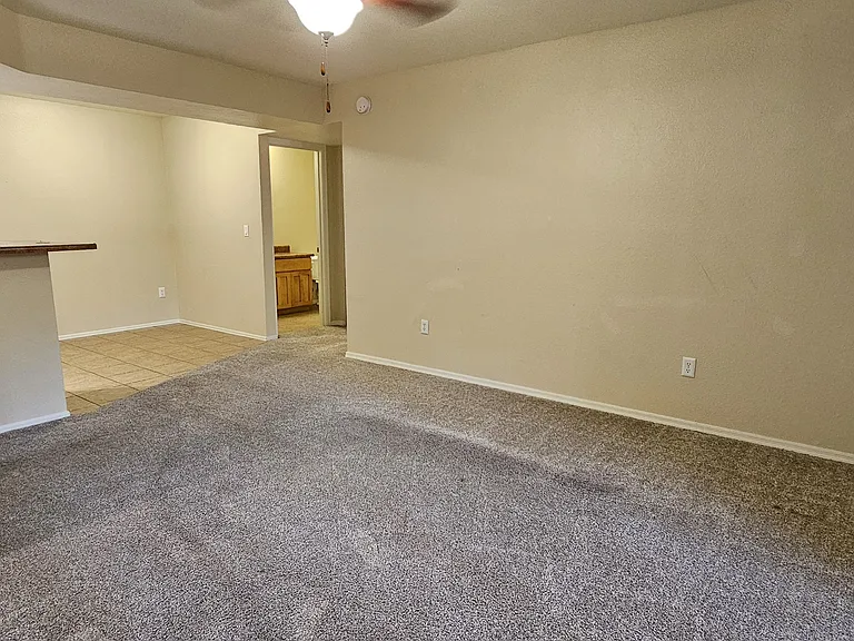 1385 W University Ave #17-155 — Photo 3