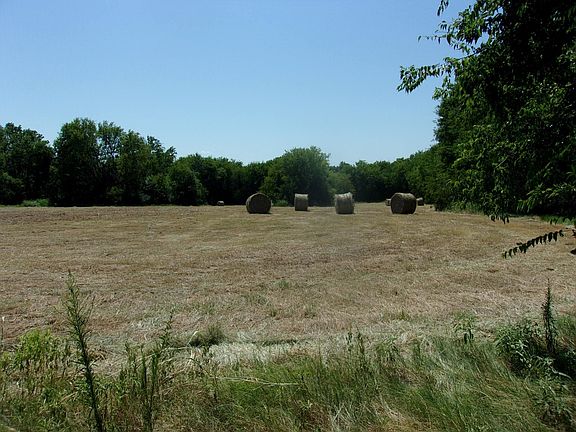 4th image of 2846 County Road 2415