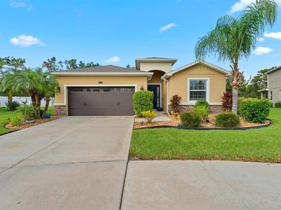 5492 Suncatcher Dr, Wesley Chapel, FL, 33545