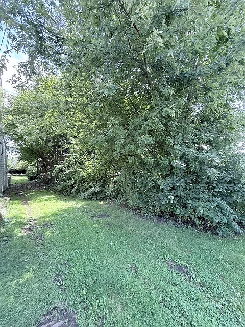 3 bed, 950 sqft, $1,250 — Photo 4