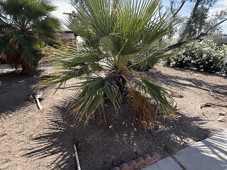 3608 W Bonanza Rd — Photo 8