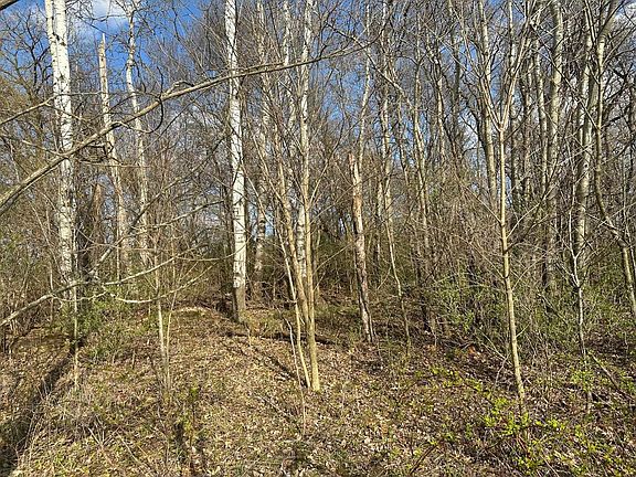 4th image of 26AC Fritz Rd