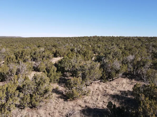 85 County Road 8249, Concho, AZ 85924