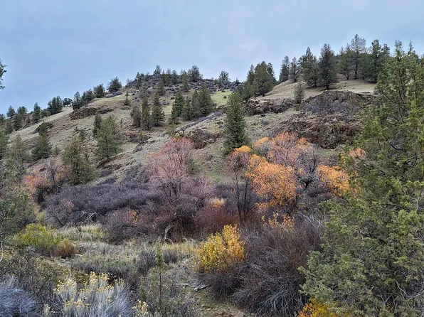 0 Dragon Dr, Hornbrook, CA 96044