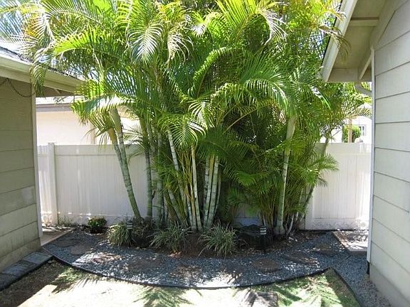 Landscaped Yard