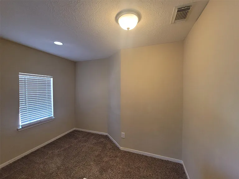 17211 Brookhollow Grove Ct — Photo 14