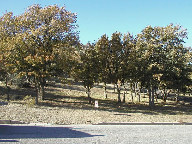 1st image of 200 Grove Park Way