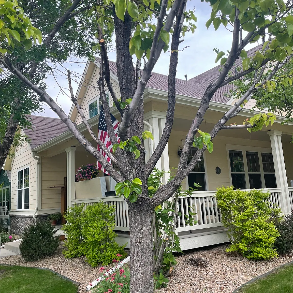 5 bed, 3.5 bath, 3462 sqft, $4,350 — Photo 1