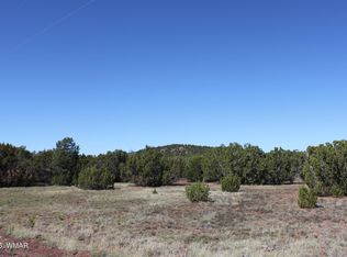 22 County Road 3191, Vernon, AZ 85940