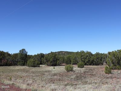 22 County Road 3191, Vernon, AZ, 85940