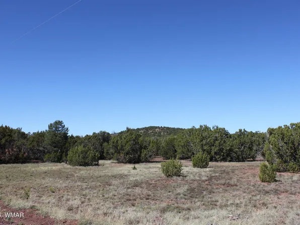 22 County Road 3191, Vernon, AZ 85940