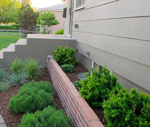 SUMMER FRONT OF HOUSE PLANTS