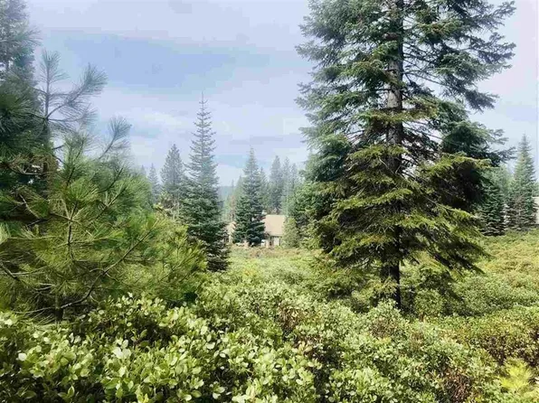 92 Fox Peak Dr, Westwood, CA 96137