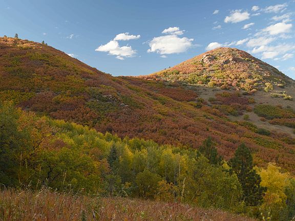 Fall in the hills around The Valley where there is great biking, walking, and hiking trails.