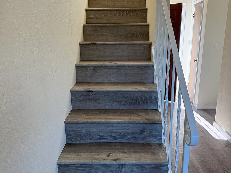 1601 Laguna St #1 — Photo 5