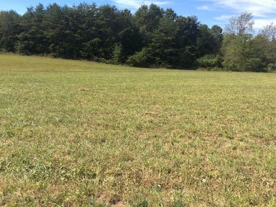 933 Low Gap Rd, Irvine, KY, 40336