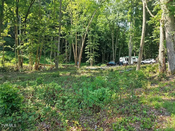 0 Irondale Rd, Big Stone Gap, VA 24219