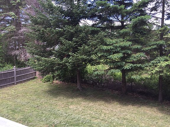  tree barrier and vacant lot