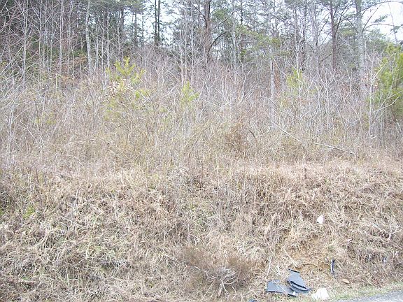 2nd image of 399 Panther Creek Road