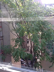 Rented by Proplink Inc.
