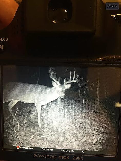 2nd image of 2916 County Road 532