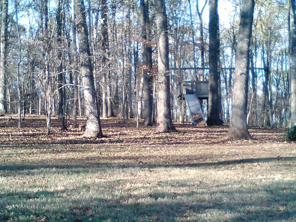2nd image of 2138 Rocky Plains Rd