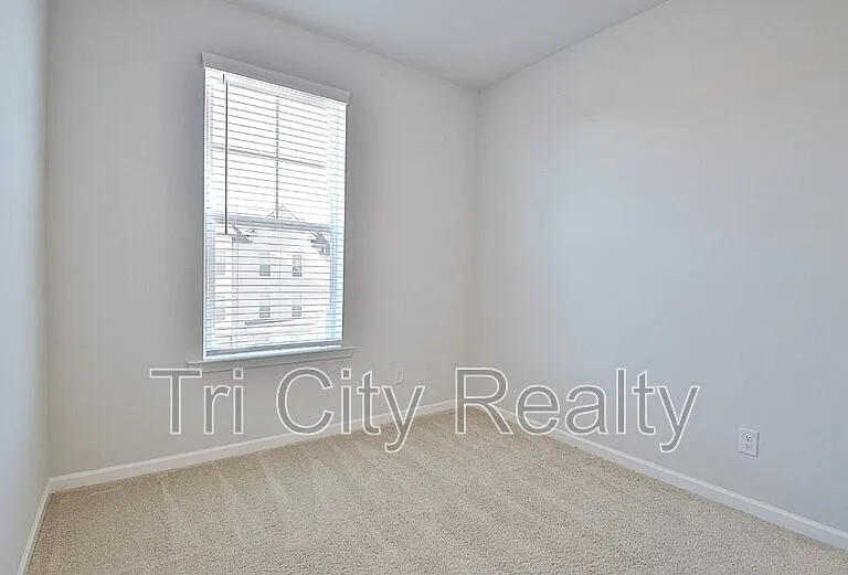 250 Cobalt Dr — Photo 47