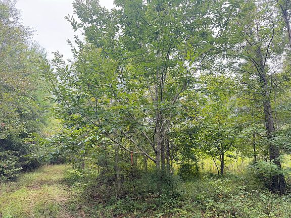 3rd image of 0 County Road 7735