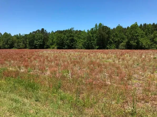 5680 Little Prong Rd NW, Ash, NC 28420