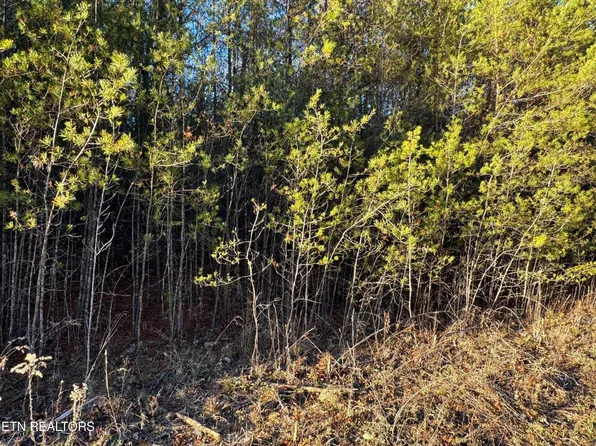 George Ln, Deer Lodge, TN 37726