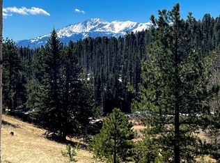 194 Rainbow Trl #17, Divide, CO 80814