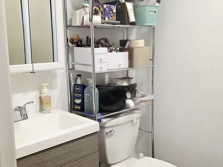 Bathroom in Master bedroom