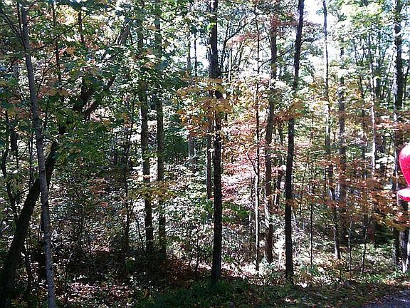 5th image of Liner Creek Road Lots C19 And #C