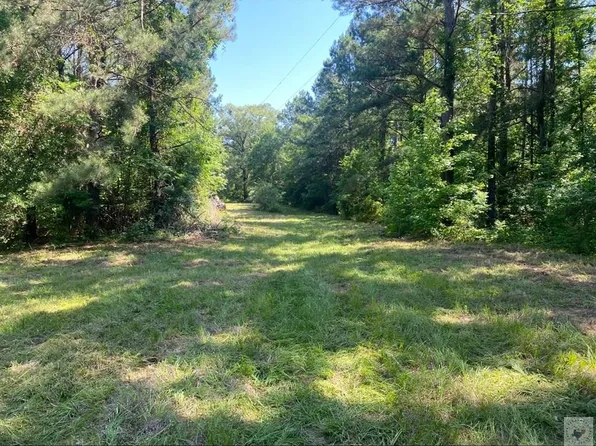 County Road 3992, Bloomburg, TX 75556