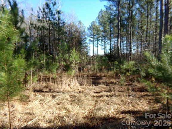 4th image of 42 Ac Ln #55