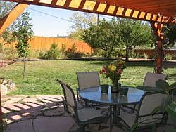 Patio and Yard
