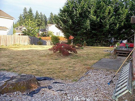 Back yard