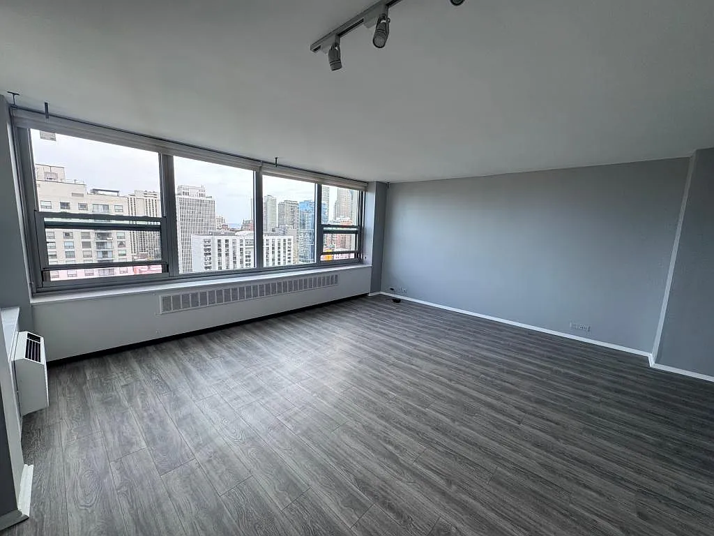 1255 N Sandburg Terrace, Unit 2406 — Photo 2