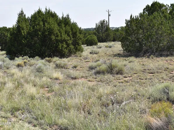 30 Dawn Ln, Concho, AZ 85924