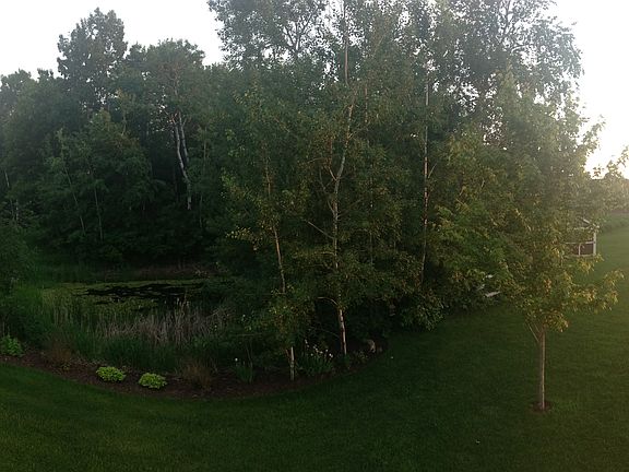 Beautiful yard