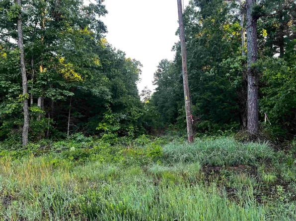 0 Good Springs Rd, Heber Springs, AR 72543