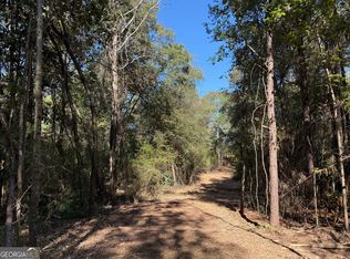 Wallace Buie Rd, Webb, AL 36376