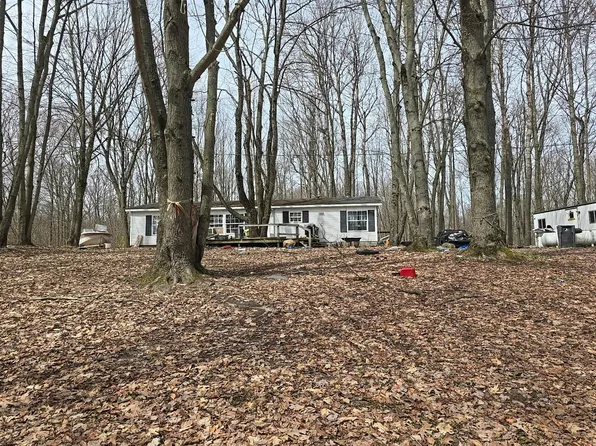 11788 E Four Mile Rd, Leroy, MI 49655