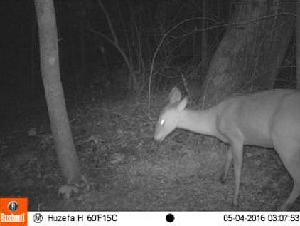 1st image of Sandy Ford Rd