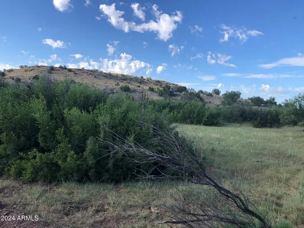 100 River Springs Ranch -- #100, St Johns, AZ 85936
