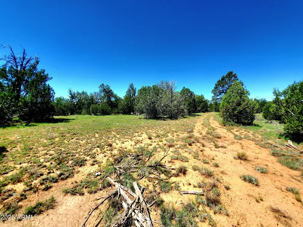 8571 HAVEN CREST Drive #229, Happy Jack, AZ 86024