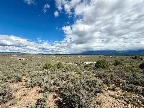 Coyote Loop, Arroyo Hondo, NM 87513