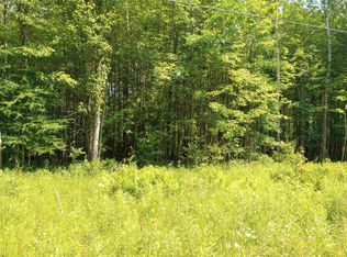 LOT 4 Happy Rd, Beaverton, MI 48612