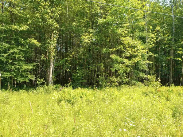 LOT 4 Happy Rd, Beaverton, MI 48612