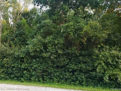 0 Puttygut Rd, Casco, MI, 48064
